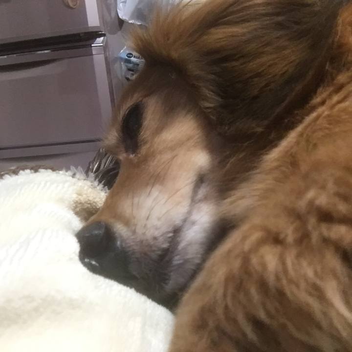 01313d86 793b 4f2e a0a0 4ef76a65f9b2 1611748385410