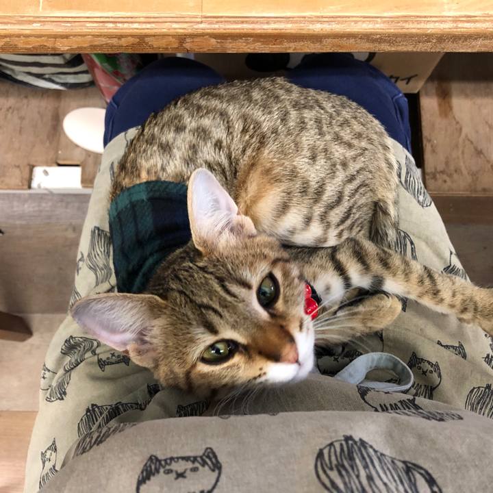 013157c5 47ac 44bc a1e8 6c6f5c1d2d42 1582779870168