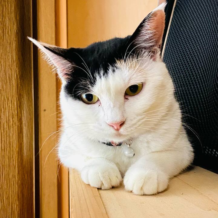 0131713c 35f1 4161 8746 53e9ecc83a51 1661868713029