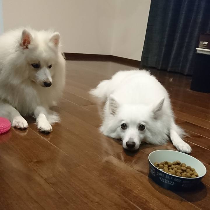 0131743a 3034 47f8 a74e c1eb39231ae2 1562770150835