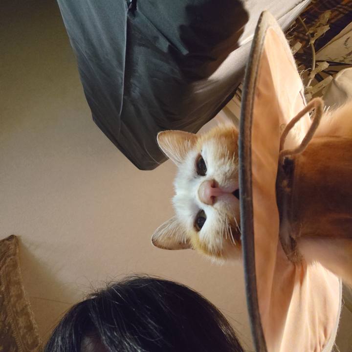 01317db2 2d19 4cb2 ad91 b2aaf161c37b 1765884835967