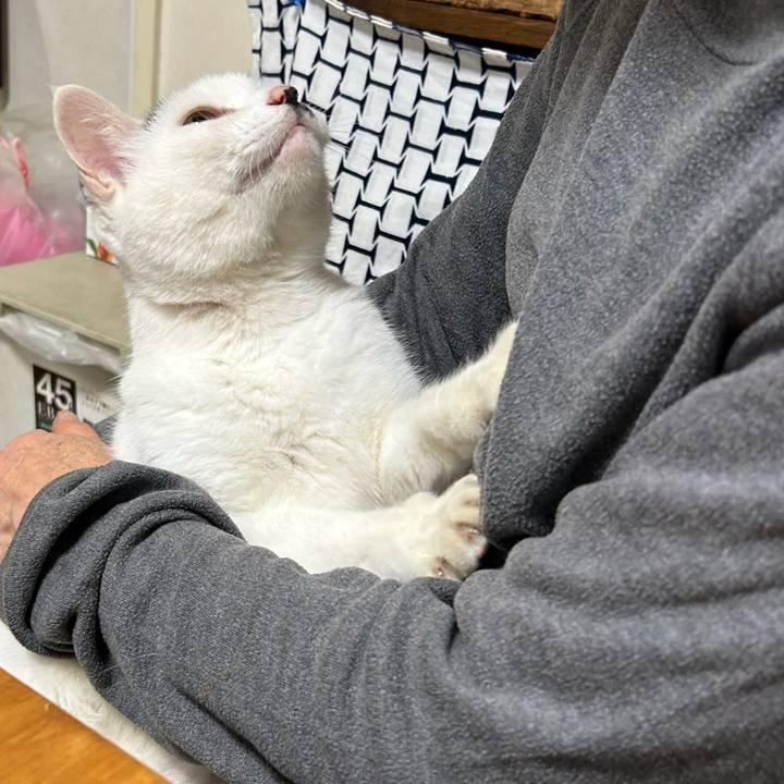 0131bbf9 8f17 4464 8738 eba1df22254d 1733184368539