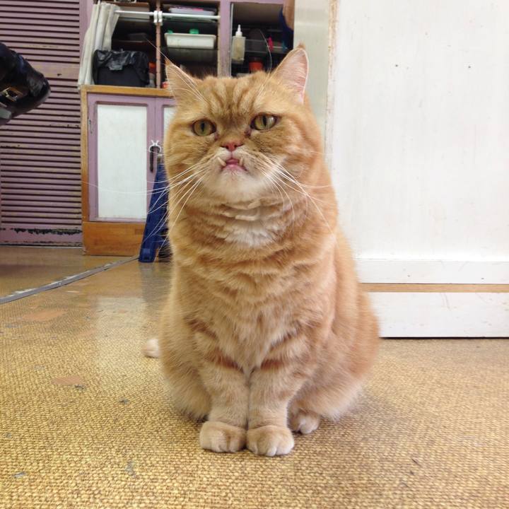 01320e38 2c70 4e2b 80bc 2294dfe9206b 1515809301263