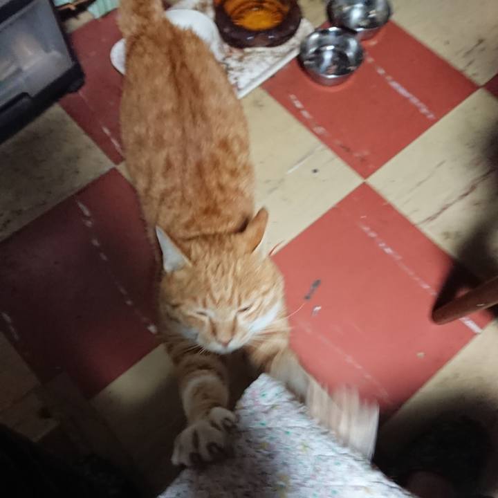 01323d6f 8c95 4619 b3e7 629493def5dd 1570045730191