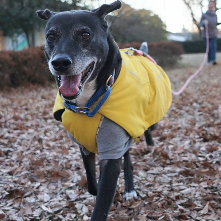 01323e09 b197 4e19 9633 47dd6c620f52 1767918134683