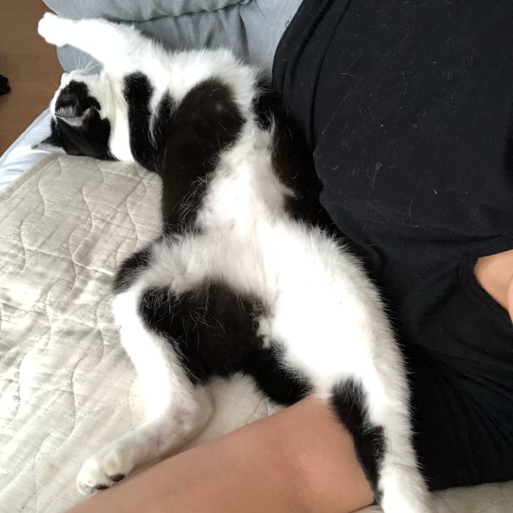 0132504e 3a3b 4cf5 9f1e 96fdec33ccd5 1564268777088