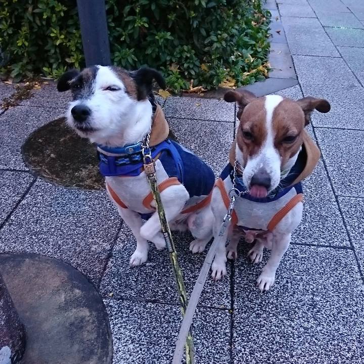 01325366 8fc2 4e1e b190 5ddd348a679d 1576534338745