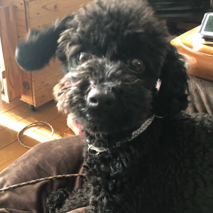 0132673b 5913 4c60 84be a7c1e7985ff8 1548460801199