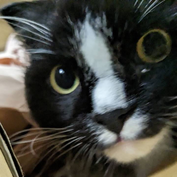 01327214 1114 41c4 b86f f108e54a0a67 1695504997384