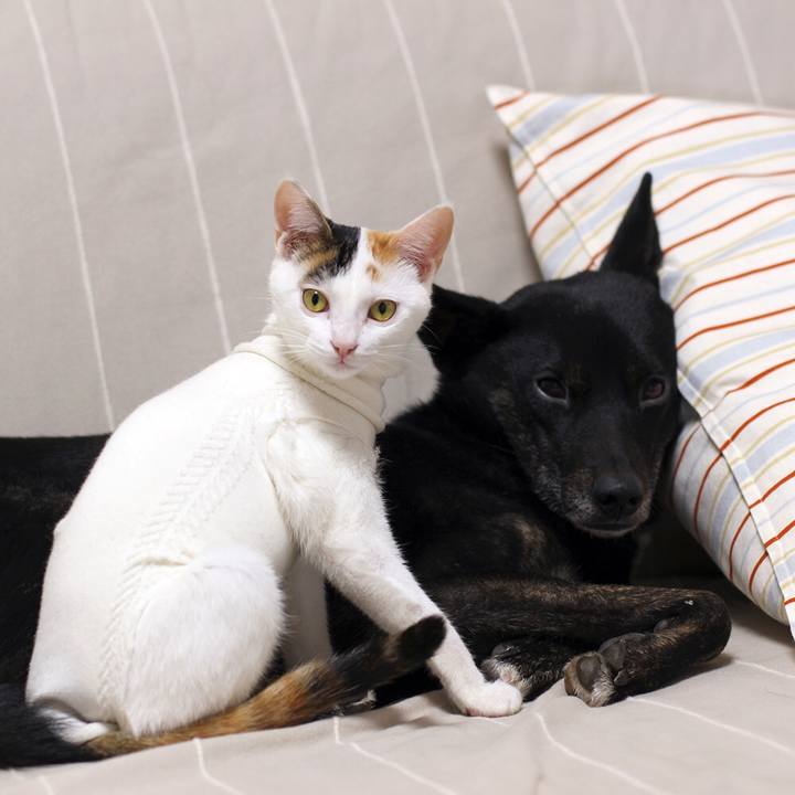 01327ce2 a121 4318 8e3f 92551a61f1c8 1548159856297