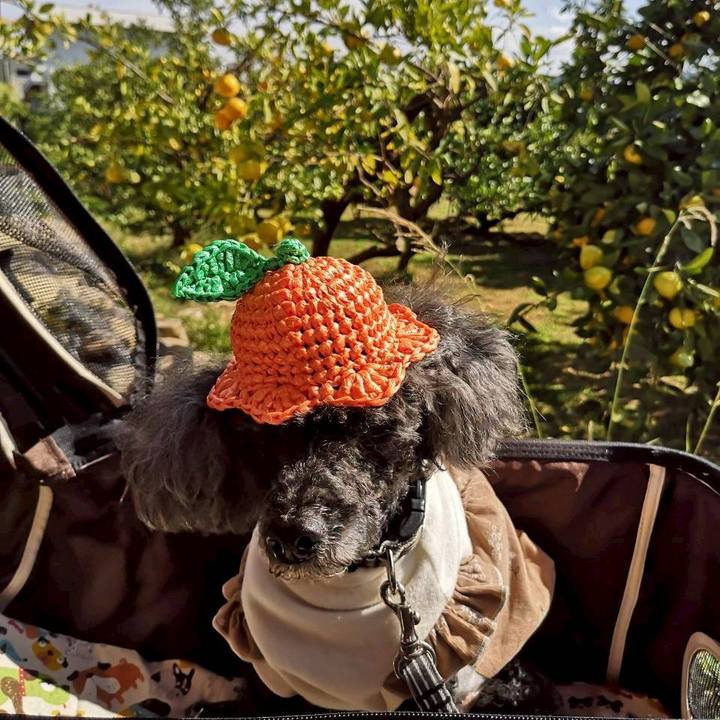 01328710 e2f9 4458 8169 7068b62e4b32 1761985057935