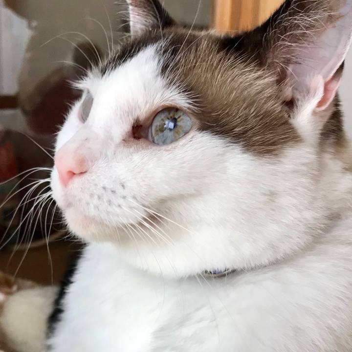 01328da2 77c7 4bd1 bf3b 44acab8bbefa 1568505648935