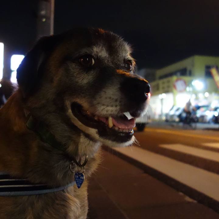 01330995 6d6e 4ec5 a386 9c954fe9e1b1 1539097705589