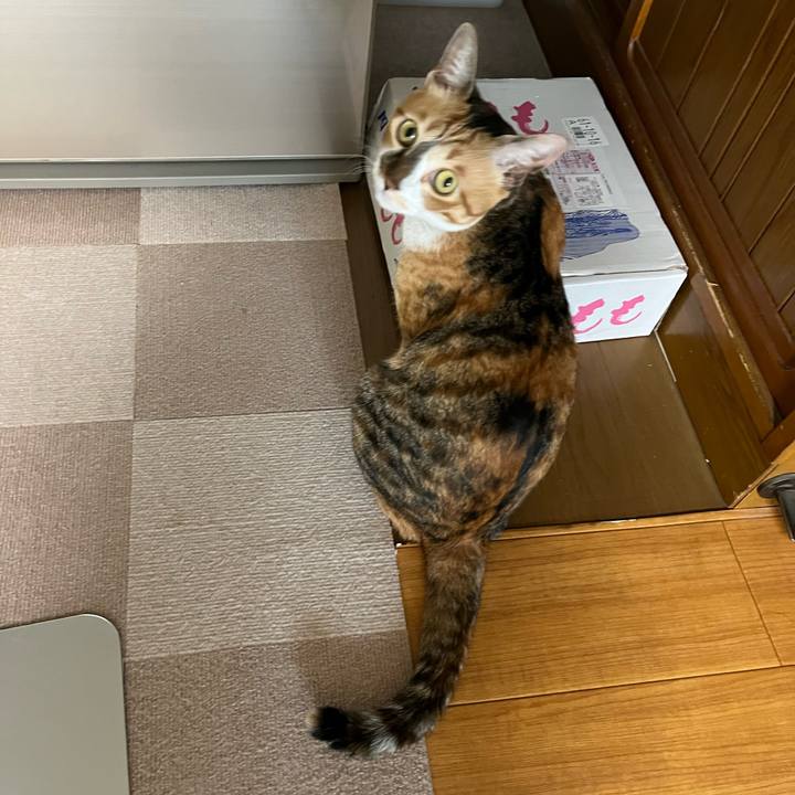 01330a31 fa7e 4594 beb6 9eb6a7cb0cbe 1721773473599