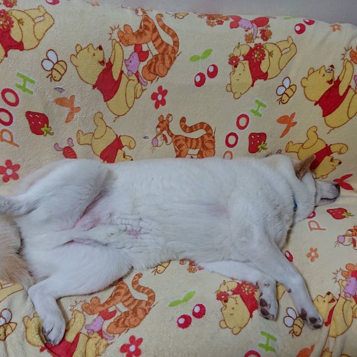 0133119f 0493 4353 9451 1797e0c1e4a1 1581856570127