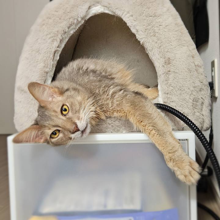 01334dcd 39e1 416b a671 1469342d460c 1770871534307