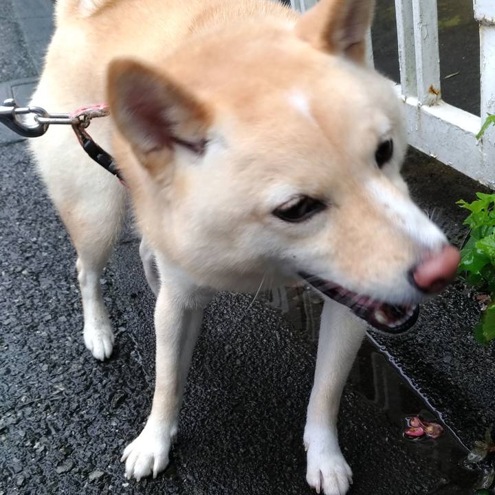 013382ff 3f63 47f8 b154 97fa972a29af 1601083545537