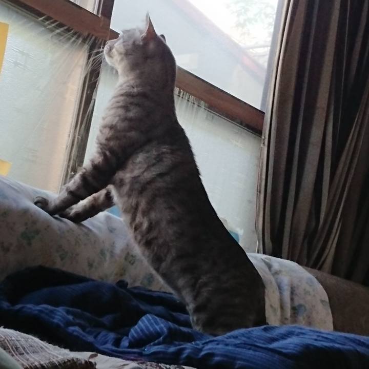 0133bffe 7360 4b16 9113 6d31af3b6652 1532331745958