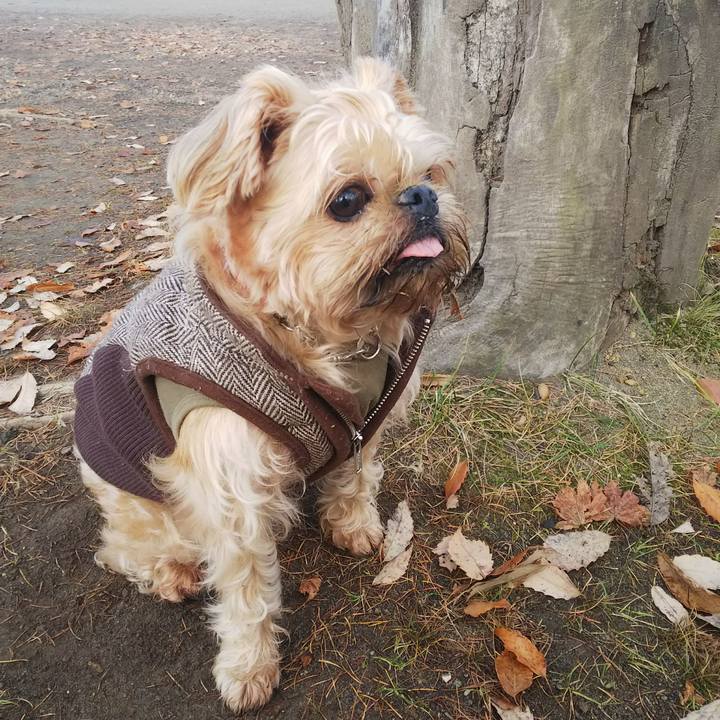 0133cb7b 930c 4192 9ae3 e4b589047132 1542580769477