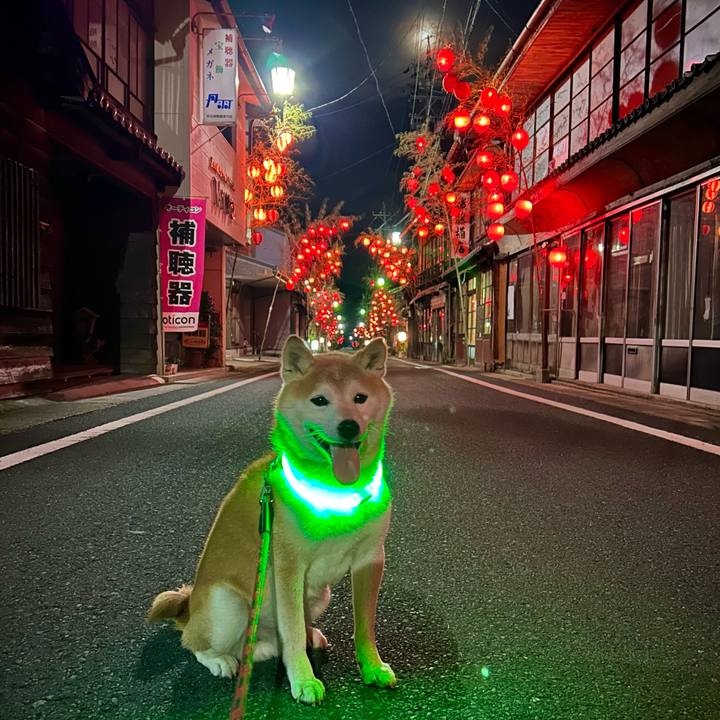 0133e2fb 6498 416a baa6 760015a46f10 1721389590892