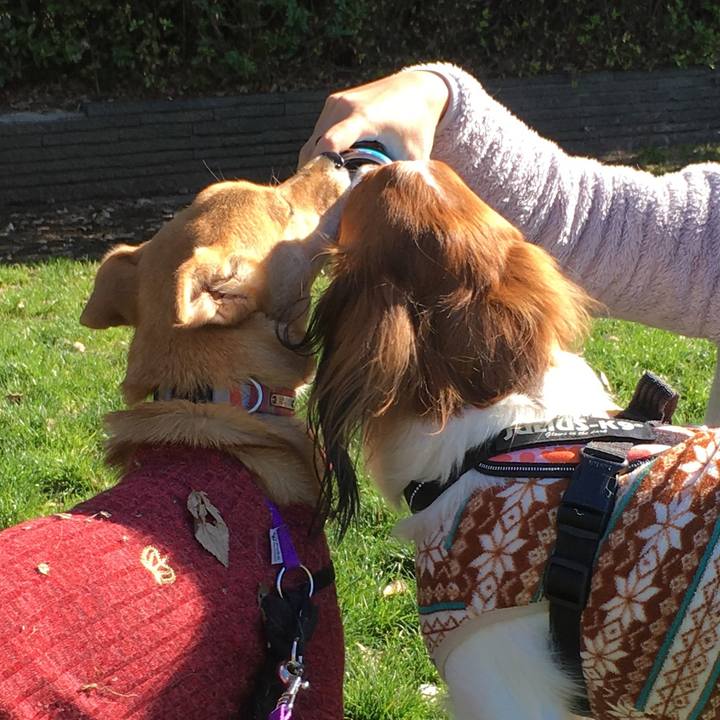 0133f042 4f6e 4b67 8972 a03f8b3aa5b4 1542955697643