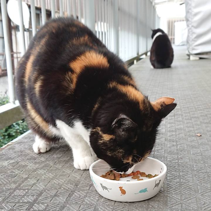 0134462e 34cc 4b61 af60 eee6a3c6d215 1648113310418