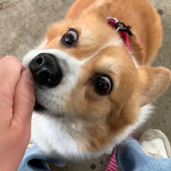 01349c1c 826c 4186 8f23 02fbd463229a 1651375121169