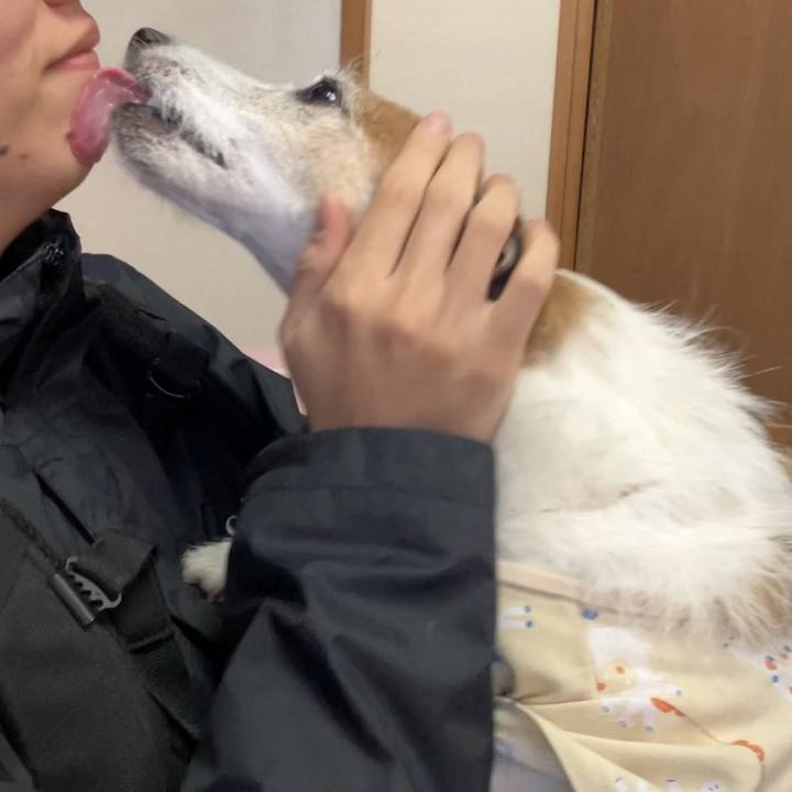 0134c2fc 0a59 4091 9b71 d78a3fb47d00 1731197409615