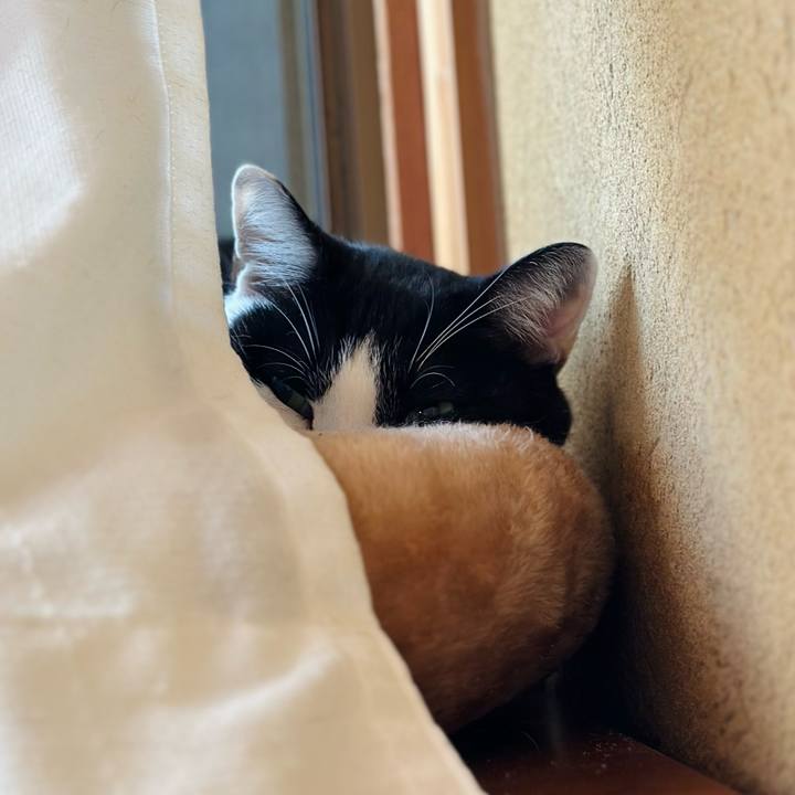 01354cb0 e62c 4ae3 8cf4 268cc8105b51 1703038088200