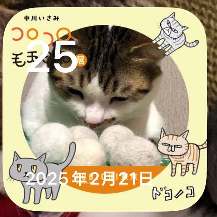 01355476 b156 42ab aa21 733955a2d799 1772019644457