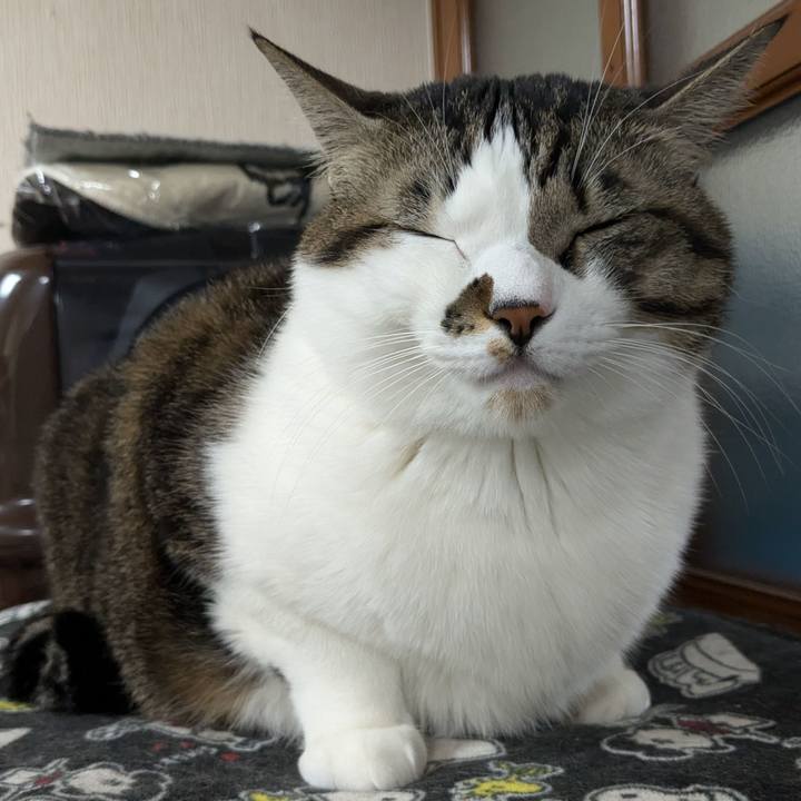 0135575b 3794 43c9 9b23 e35975985301 1736076514071