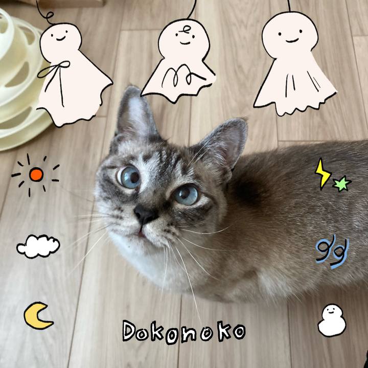 01357382 41a5 4365 94d1 f7d51fc4cd82 1749104060291