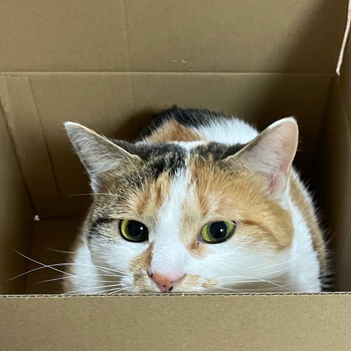 01359813 f5cb 4c87 b925 cd78e6090d21 1646660850313