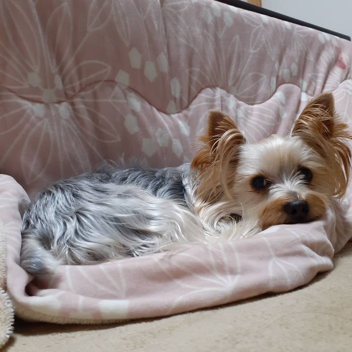 0135e853 820f 4149 9b57 a6eb870ff087 1605702101618