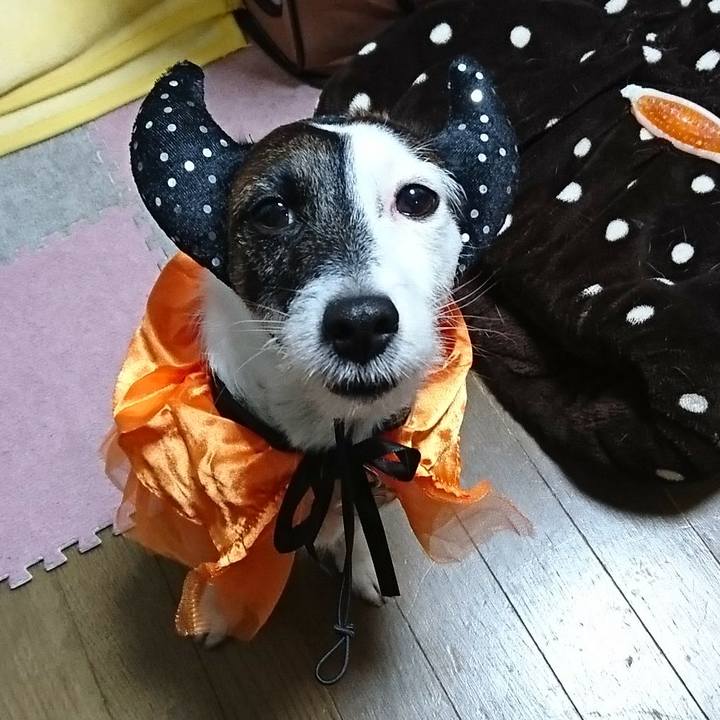 01360042 7a5a 4ac6 95b6 3c0937cfcbf5 1509451219049