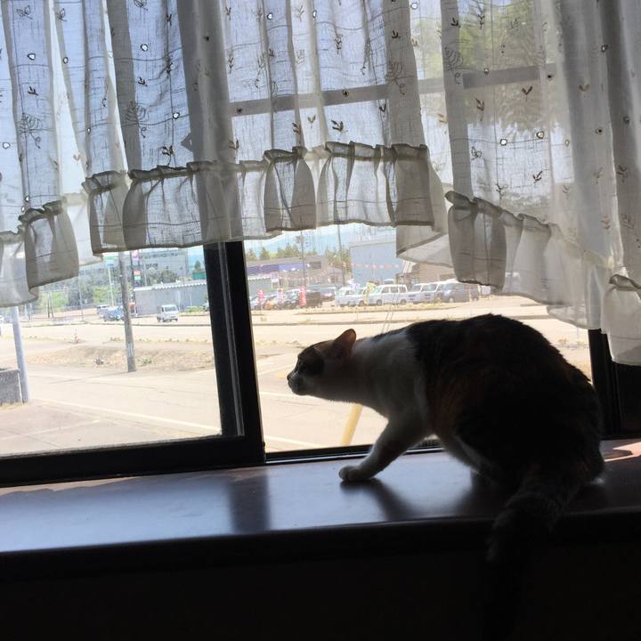 01360a39 5660 42b9 b0d7 33fa8c3cae6e 1653445053061