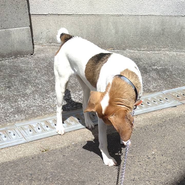 013620e4 0a7c 48ef a2ad 90b23cb202d2 1620884093490