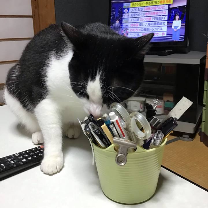 01363fce 5699 4a97 a340 ee12928b7fa1 1686391985046