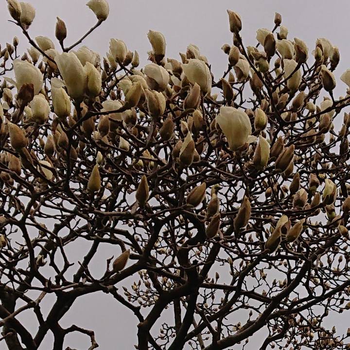 01364039 8de7 40ae 9ef0 a28fca093611 1582759688657