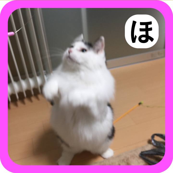 01364eb1 b969 41e9 b93a 4a2a058c3283 1514861270365