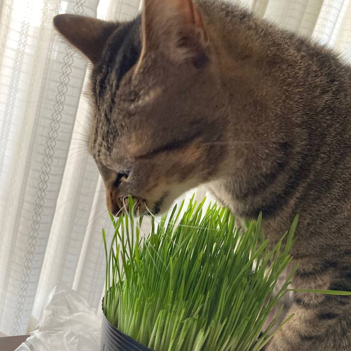 01364ee3 944d 43a3 afa8 eaffeba9ef55 1765063253575