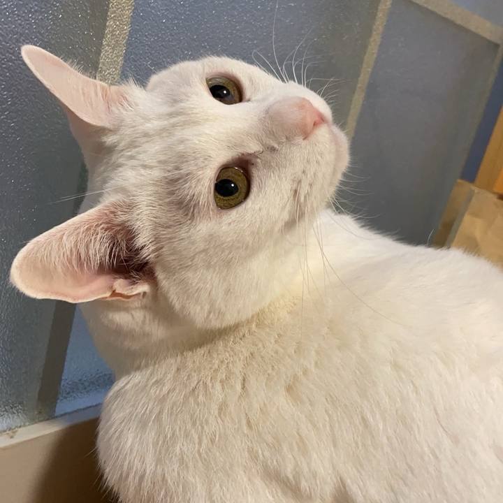 0136526c 1438 4481 b3ae 1e037349996e 1728719087584