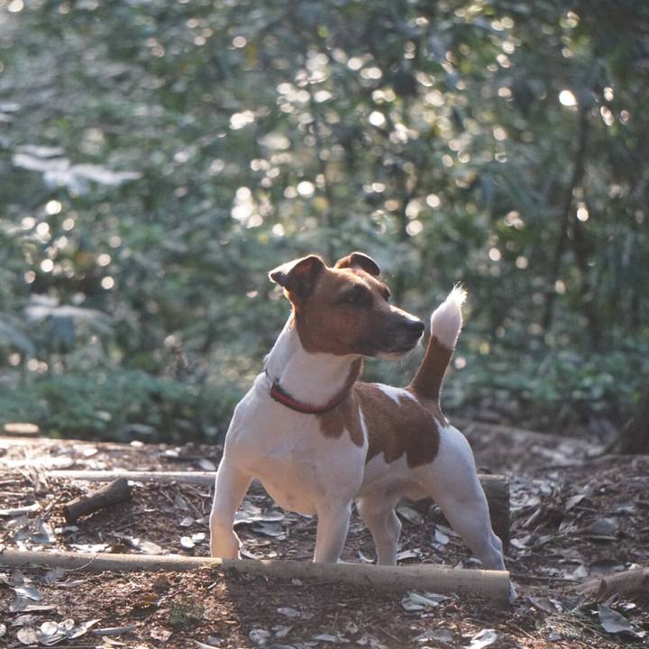 01367b63 a211 4a69 afdd e03b5d769eb0 1524264120668