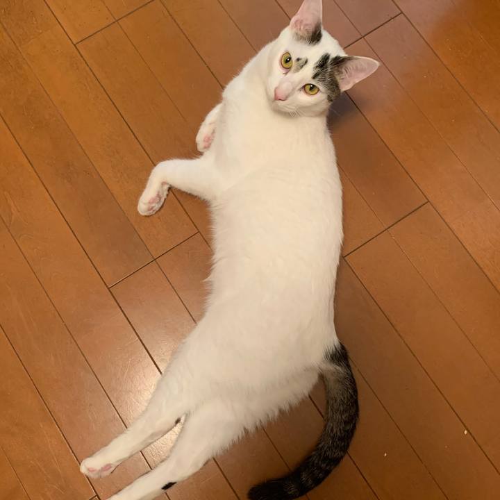 01368268 1839 41b1 aacf 17d6dafca555 1620828689604