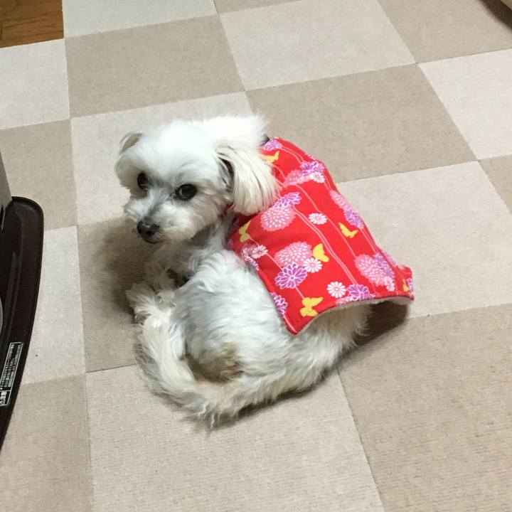 01369f30 66c7 470c 8339 4d9d594eb149 1642677544925