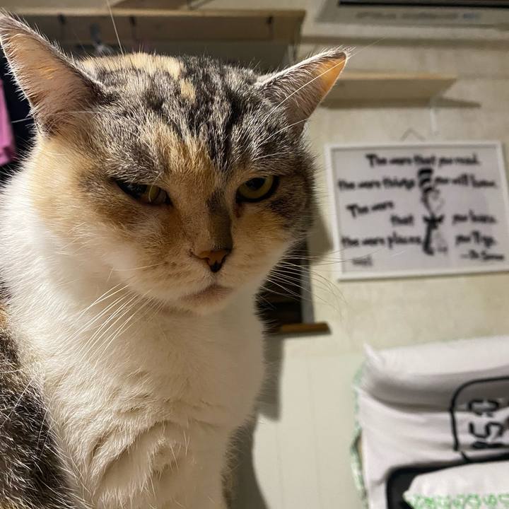 01369f81 ef27 4445 b209 0db9535f956b 1611488389408