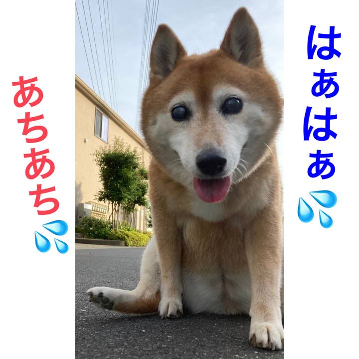 0136bb79 c668 4cd5 8512 e500bf50ca59 1687079033446