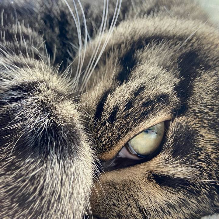 0136c9be 34b4 4268 b3cd 284660e068fd 1677500246887