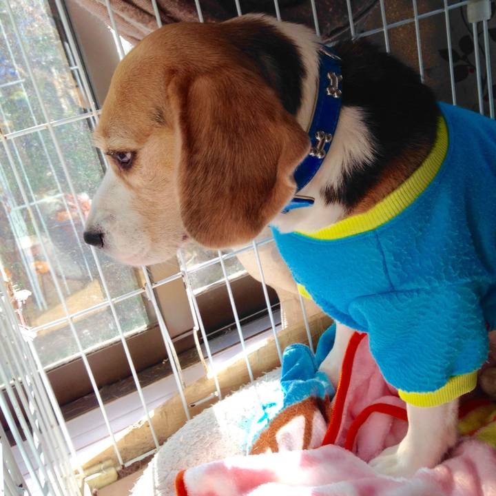 0136d650 15dd 4a52 b862 de32ad53d74e 1733442652049