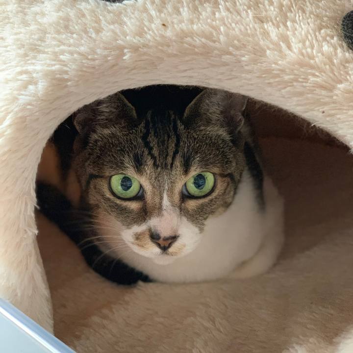 0136d686 a83b 4876 912b c44983eebdf9 1571964481306